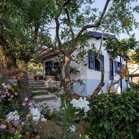 Les Maisons De Pecheurs Villa Sète Exterior foto